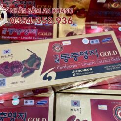 cao linh chi dong trung pocheon 2