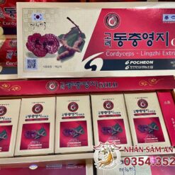 Cao Đông Trùng Hạ Thảo Linh Chi Gold Pocheon Hộp 5 Lọ x 50G
