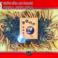 dong trung 45g 11
