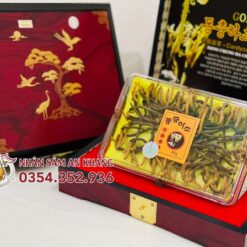 dong trung 45g 5