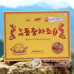 dong trung go vang klm 2