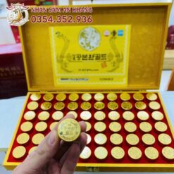 dong trung ha thao hop go vang 6