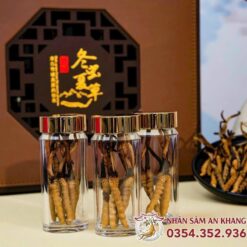 Đông Trùng Hạ Thảo Tây Tạng Hộp Size 40 Con