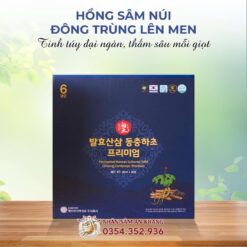 Nước Sâm Núi Đông Trùng Hạ Thảo Lên Men 50ml x 30 Gói