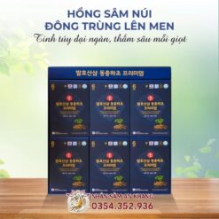 Nước Sâm Núi Đông Trùng Hạ Thảo Lên Men 50ml x 30 Gói 2 hong sam nui dong trung len men 7