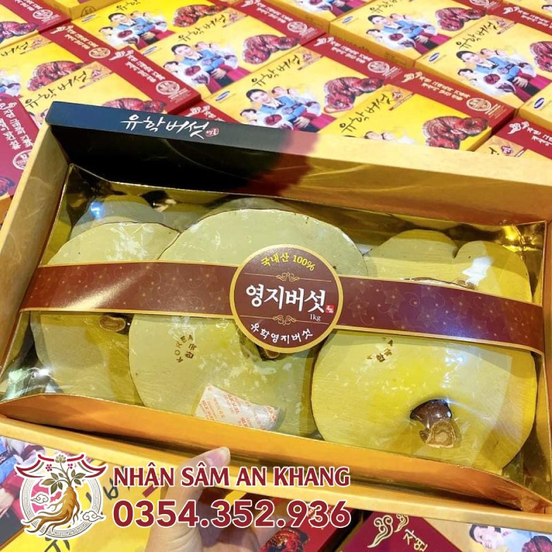 Nấm Linh Chi Cô Gái Hàn Quốc SamSung 1kg 22 nam co gai vang dam 6