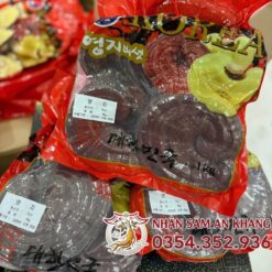 nam linh chi do bich do 5
