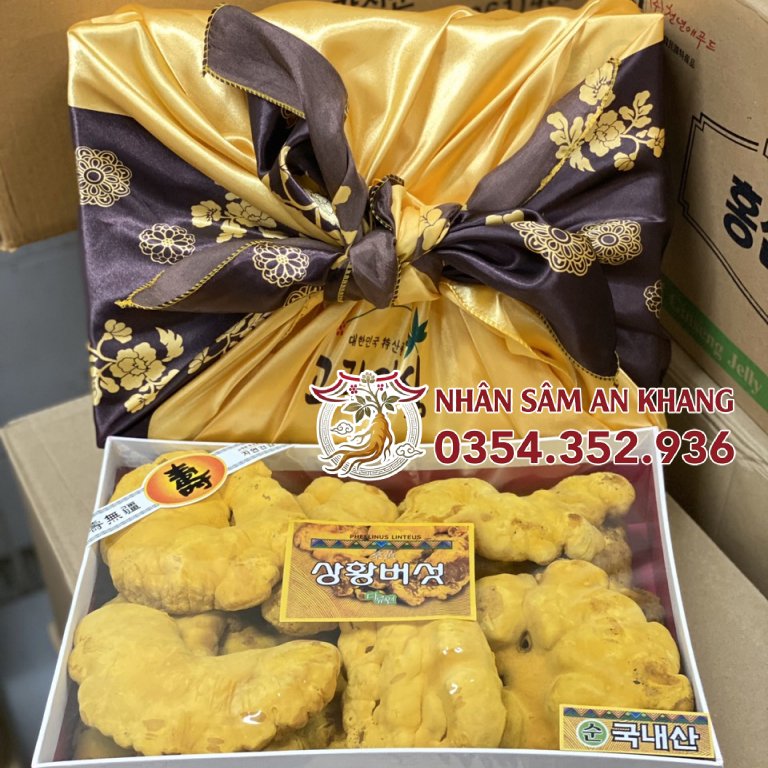 Nấm Thượng Hoàng 365 Hàn Quốc 500G 19 nam thuong hoang 3