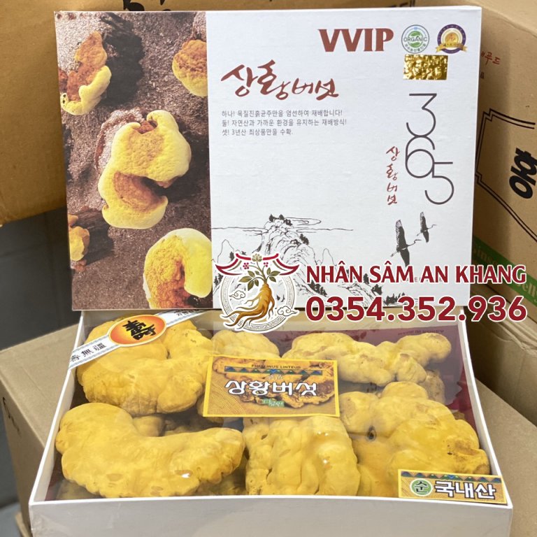 Nấm Thượng Hoàng 365 Hàn Quốc 500G 14 nam thuong hoang 4
