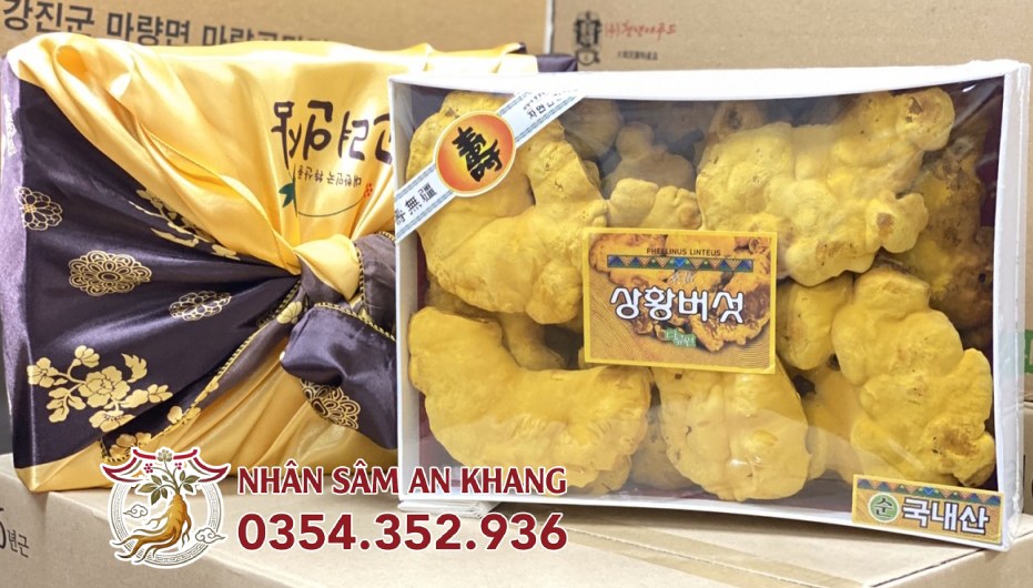 Nấm Thượng Hoàng 365 Hàn Quốc 500G 16 nam thuong hoang 9