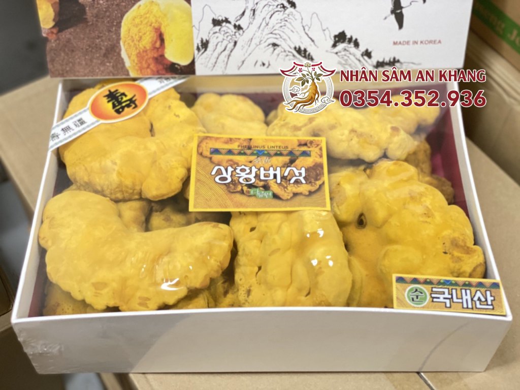 Nấm Thượng Hoàng 365 Hàn Quốc 500G 23 nam thuong hoang
