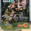 nuoc mat gan dong trung ha thao nghe vang 5