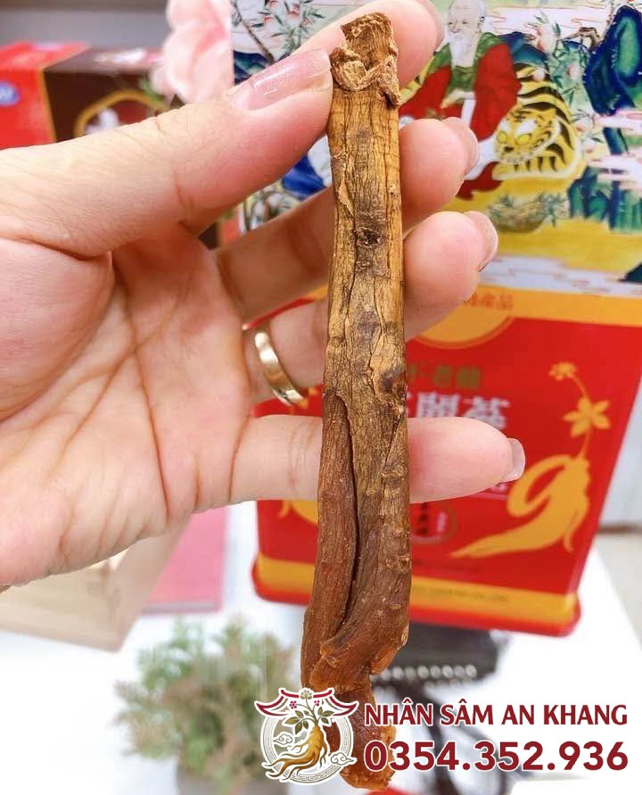 Hồng Sâm Củ Khô Daedong Hộp Thiếc 75G 16 sam cu kho daedong 375g 4