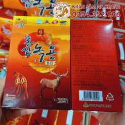 sam nhung huou vang 3