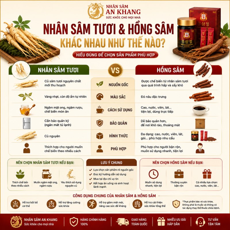 hinh 11