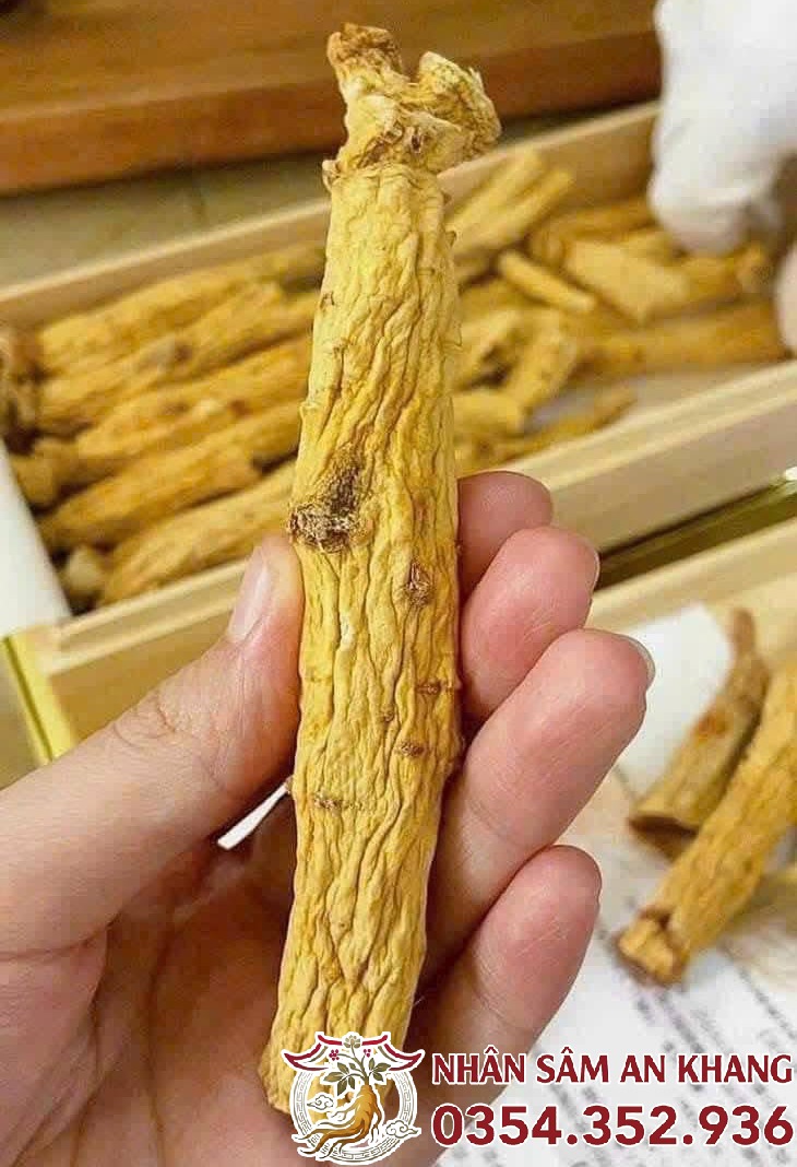 Thiên Sâm Củ Khô Korea Taekuk Ginseng 600g 19 thien sam cu kho kkg 9