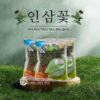 Trà Hoa Nhân Sâm Hàn Quốc Sấy Khô 500G 14 tra hoa sam