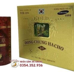 vien dong trung ha thao dong chung ha cho 2