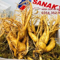 Sâm Tươi Hàn Quốc 2 Củ 1KG 6 sam tuoi 2 cu