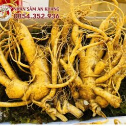Sâm Tươi Hàn Quốc 2 Củ 1KG 2 sam tuoi 2 cu 6